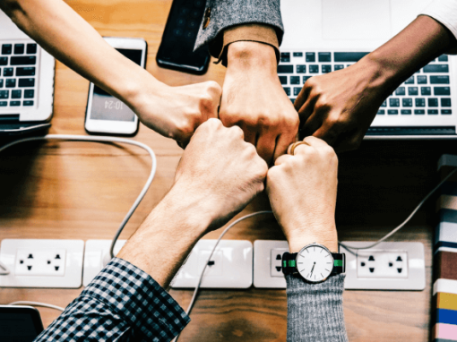 Driving Results A Digital Marketing Case Study